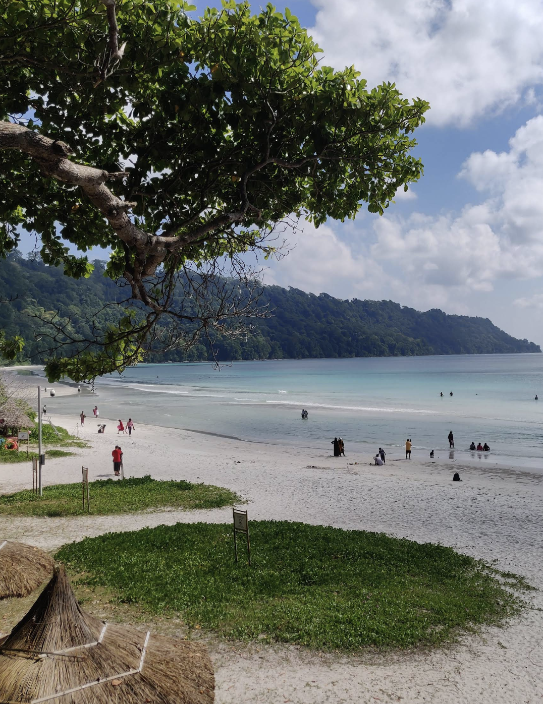 Havelock Island (Swaraj Dweep)