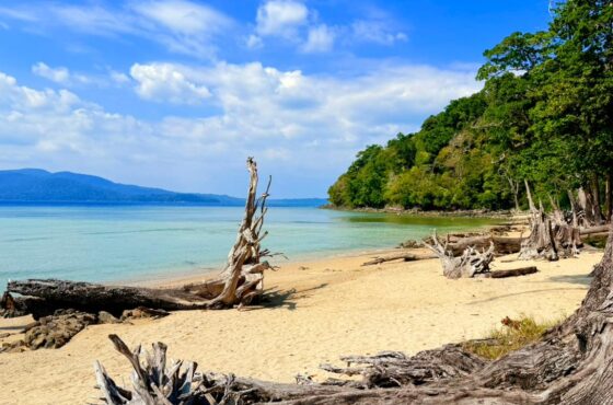 4 NIGHTS AND 5 DAYS ANDAMAN