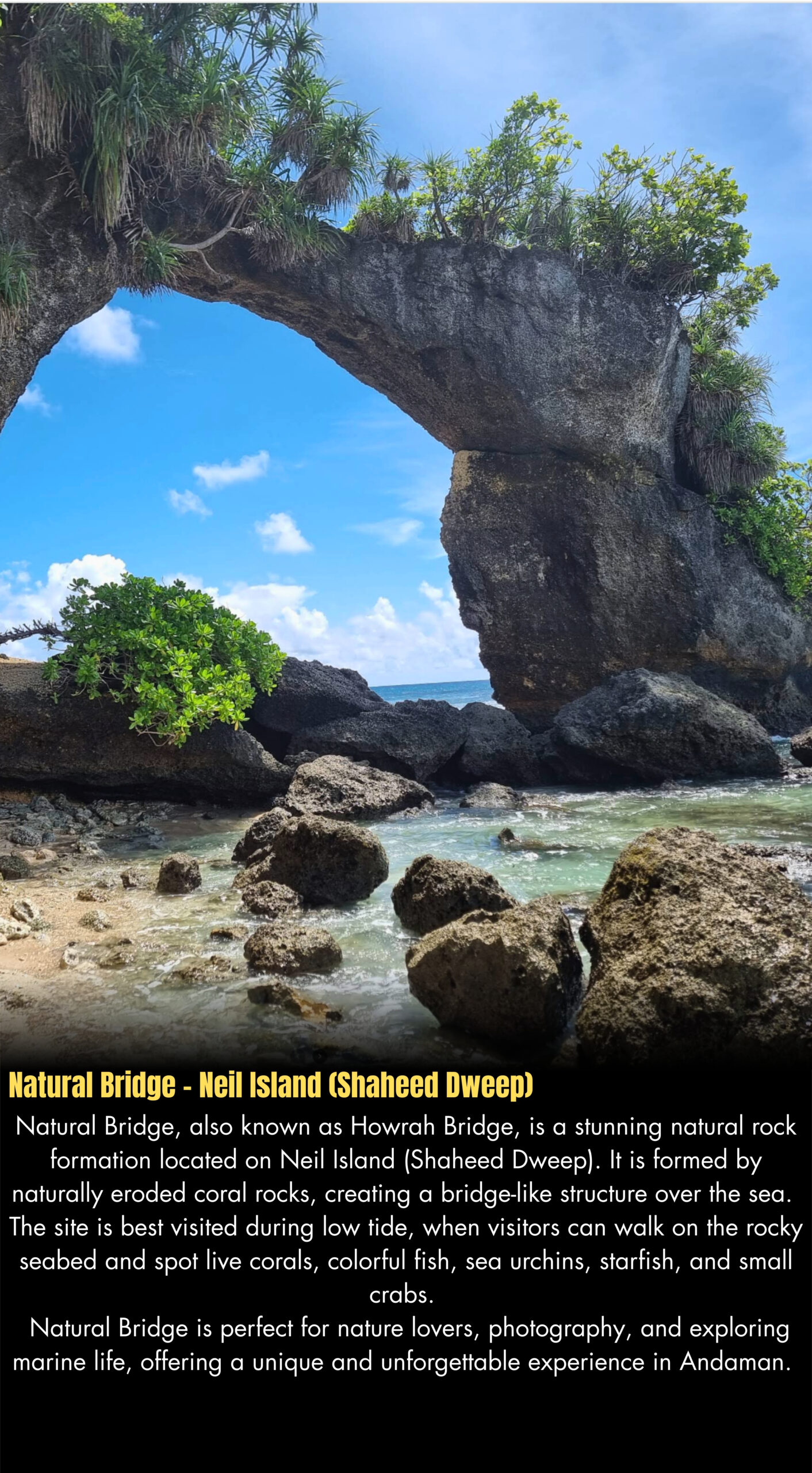 Natural Bridge - Neil Island