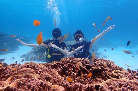 5 NIGHTS AND 6 DAYS ANDAMAN – PB-4N & HL-1N