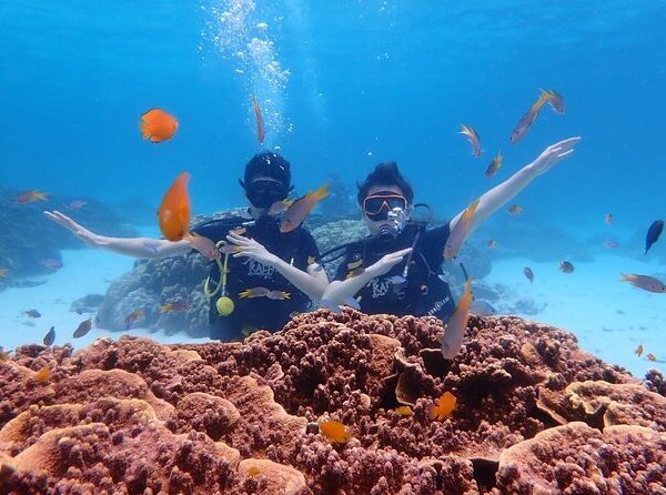 5 NIGHTS AND 6 DAYS ANDAMAN – PB-4N & HL-1N